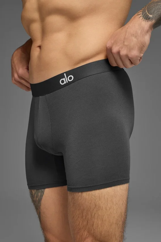 Day and Night Boxer Brief – antrasitt