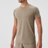 Triumph Raglan-T-skjorte – Gravel